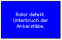 Flussdiagramm: Prozess: Rotor defekt.
Unterbruch der Ankerstbe.
